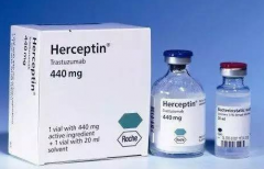 赫赛汀曲妥珠单抗治疗乳腺癌耐药后的药物选择
