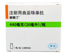 使用赫赛汀曲妥珠单抗的治疗时间不宜过长