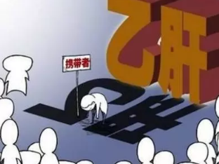 乙肝携带者