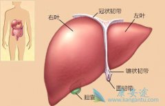 我国公众经常忽视丙肝的危害性对其认识严重不足