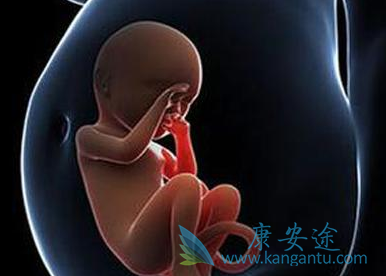 美国试管婴儿费用