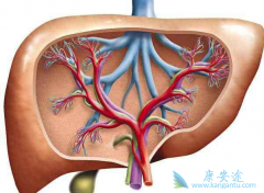 乙肝患者进行乙肝抗病毒治疗需要长期一直服药