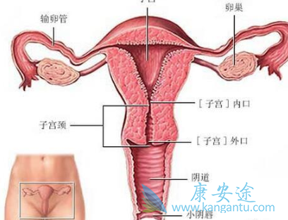 子宫癌症状