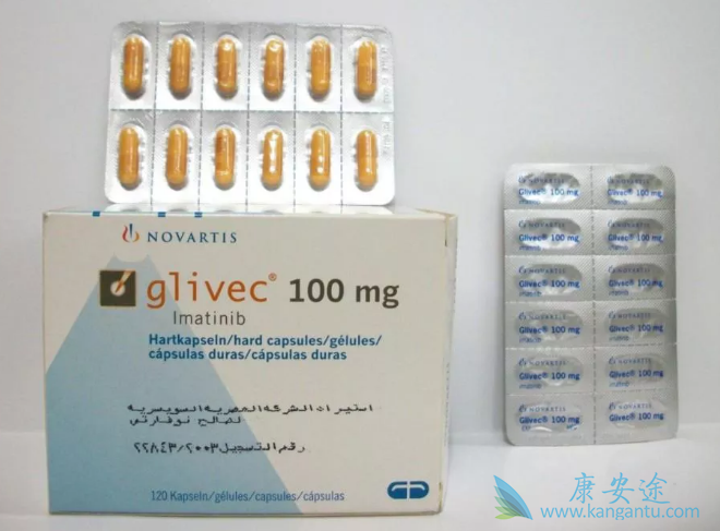 格列卫在印度价格