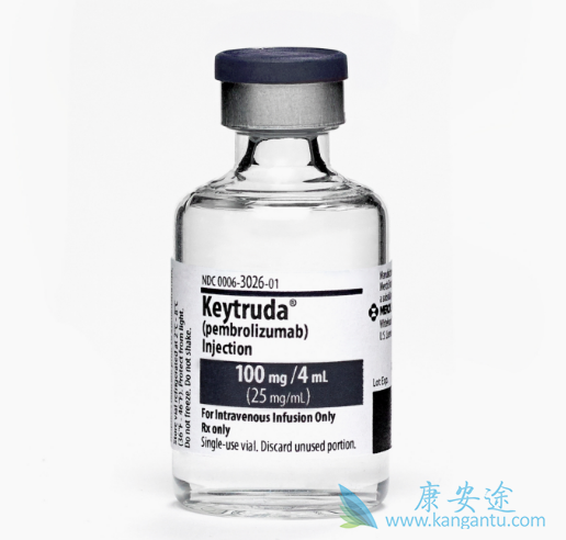 PD-1\PD-L1免疫检测点抑制剂