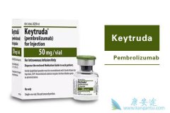 Keytruda۶һγԽOpdivoʵϮ