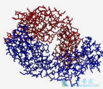 鵥(Bevacizumab)ǶԲеѳߵƷ