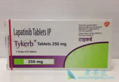 (Lapatinib)ҩٰЧǶ