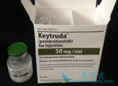 ķ(pembrolizumab)ʹַԻĻߴ