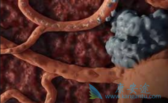 TDFЧԤ޻(Rituximab)ڼ仼HBVټ