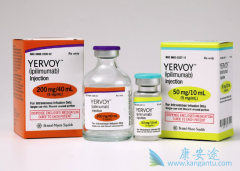 CTLA-4YervoyPD-1ƼOpdivoõЧô