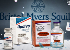PD-1ƼOpdivoYervoyƺɫ
