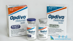 PD-1ƼOpdivoŷ֣ͨԿ