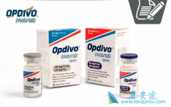 PD-1Opdivoŷ֣ʵƷΰЧ