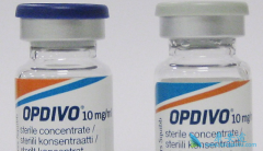 ĿǰPD-1Ƽŷ֣OpdivoڹڽƷСϸΰ