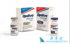 PD-1Ƽŷ֣Opdivoƶְ֢