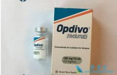 ոеPD-1ƼOpdivoŷ֣ŵЩ