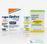PD-1ƼOpdivoYervoyĿǰȵƷ