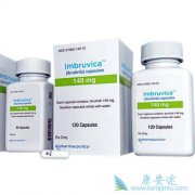طԾ򵰰Ѫ֢³(Ibrutinib)