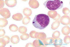 ³(IBRUTINIB)ʹMZLߵλ޽չڴﵽ14.2