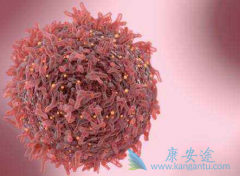 (IBRANCE)75mg/ʱٰͣҩ