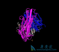 ᵥ(Panitumumab)ڶʵожʾõ