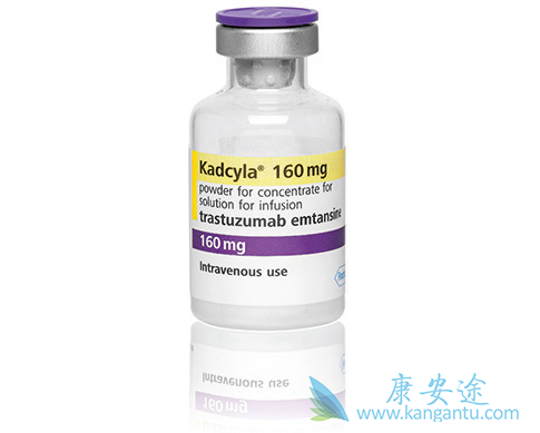 T-DM1