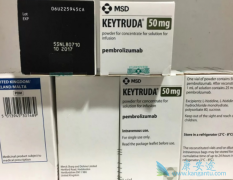 ƤӦԤPD-1ҩķ(Keytruda)Ч