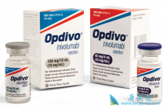 PD-1Opdivoй֮Щ߿ʹã