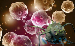 ΰڳ޿(ERLOTINIB)ڼ䷢ô