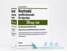 PD-1䵥(Nivolumab)ķ(Pembrolizumab)ıȽ