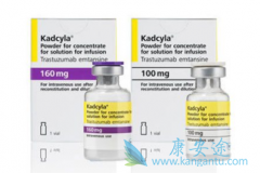 T-DM1(Kadcyla)ٰߵһҩ