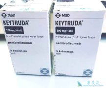 PD-1keytrudaƷСϸΰٴ
