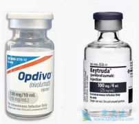 PD-1Opdivoձʱȫ׸PD-1Ƽ