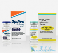 PD-1OpdivoCTLA-4Yervoyȫƶְ֢
