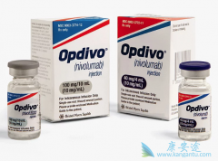 PD-1OpdivoڷСϸΰռȻ
