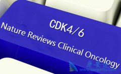 ҽҩ˾ٰCDK4/6Ƽзչ