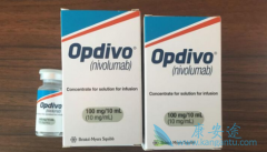PD-1ҩ䵥(opdivo)ڼ߽鵼Էô