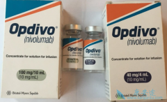 PD-1Ƽ䵥(nivolumab)/ŷҪ
