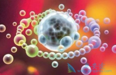 ƥ(Ipilimumab)HPVصתƻ򸴷Ч