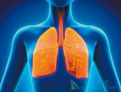 ķ(pembrolizumab)ŷ׼һƷװСϸΰ