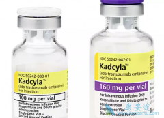 T-DM1KadcylaHer2ͻķΰҲЧ