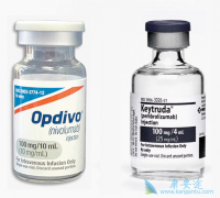 PD-1KeytrudaڹڼһƷСϸΰ