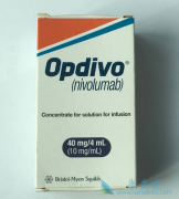 еҩ䵥(opdivo)ԲͬӦ֢θļ