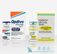 CLTA-4YervoyPD-1Opdivoҩڶ֢Ʊֲ