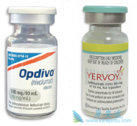 CTLA-4ƼYervoyPD-1ƼOpdivoƵЧô