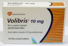 ʷзİ̹Ƭ(Volibris)ʲôģ