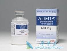 ٰûͨг̩(Alimta)