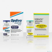 PD-1OpdivoCTLA-4ƼYervoyƺɫЧô