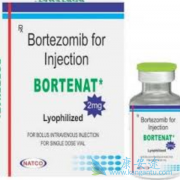 (BORTENT)ֲֹ鵼ųⷴӦ